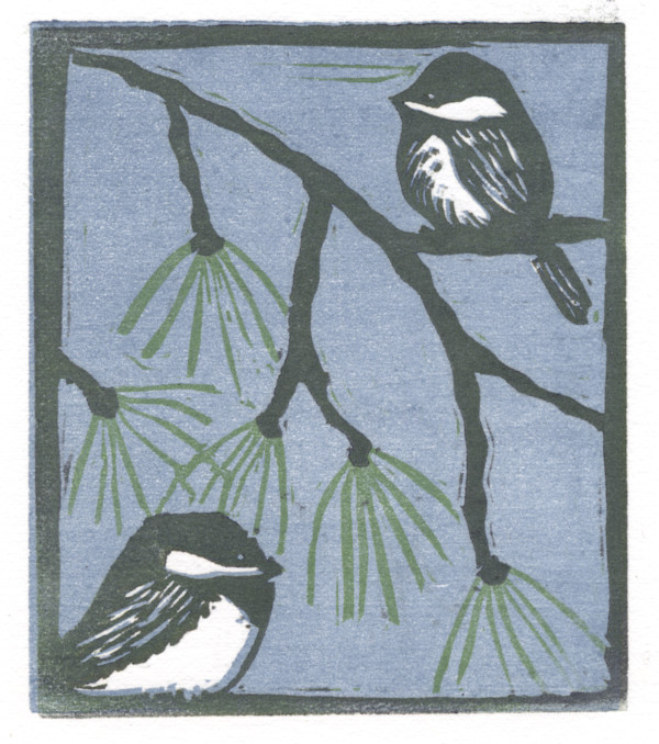 Chickadees 5/15 by Betsy Hsiao