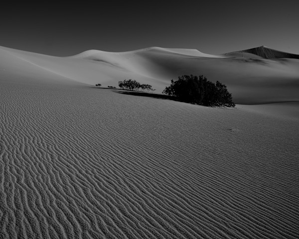 Oasis 1/10 by Bryan Sabol