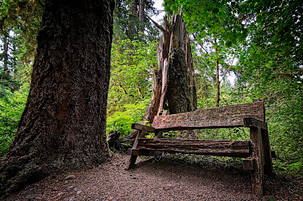 Sit and Abide 1/10 by Bryan Sabol