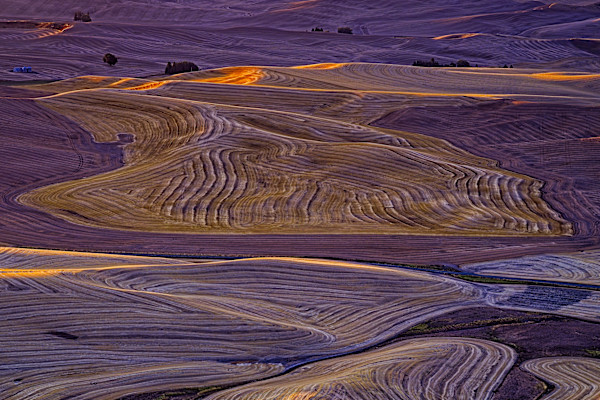 Grainular Art 1/10 by Bryan Sabol