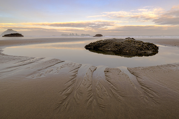Sand Tendrils 1/10 by Bryan Sabol Photography