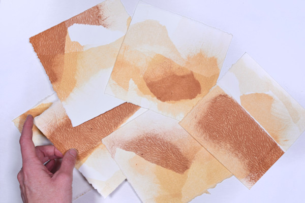 Dunes at Golden Hour #12 by Megan Broughton