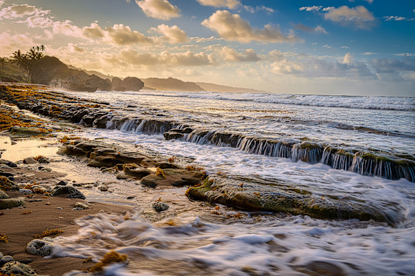 WOW #1 by Hugh Walker