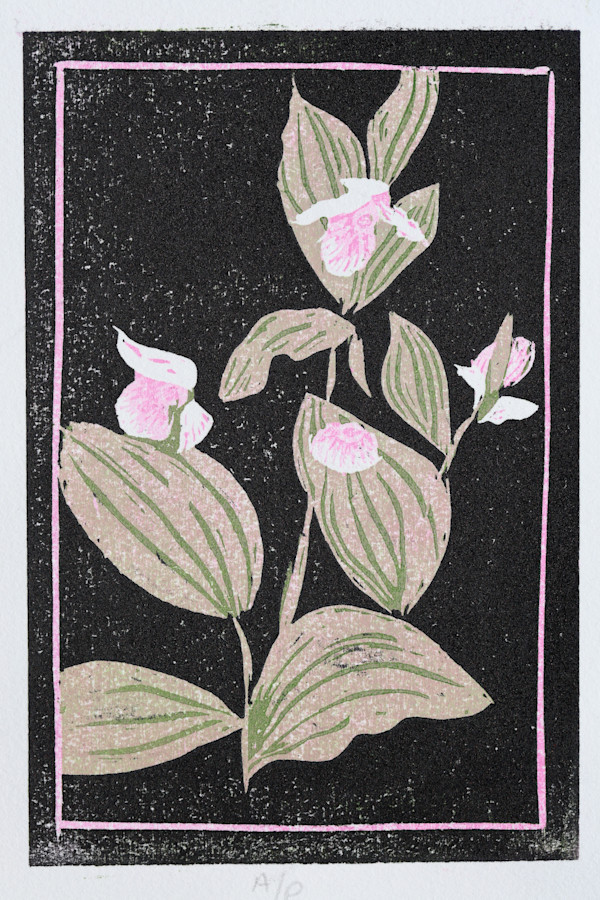 Lady Slipper 2/16 by Betsy Hsiao