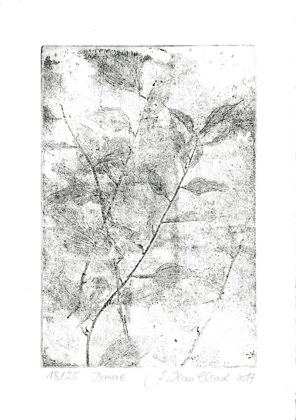 Danae schwarz 18/25 by Julia Kaulbach