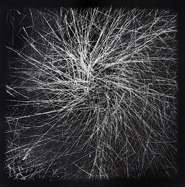 Marsh Hay Studies I - VIII, #3 #3 by Charles Marie Reilly