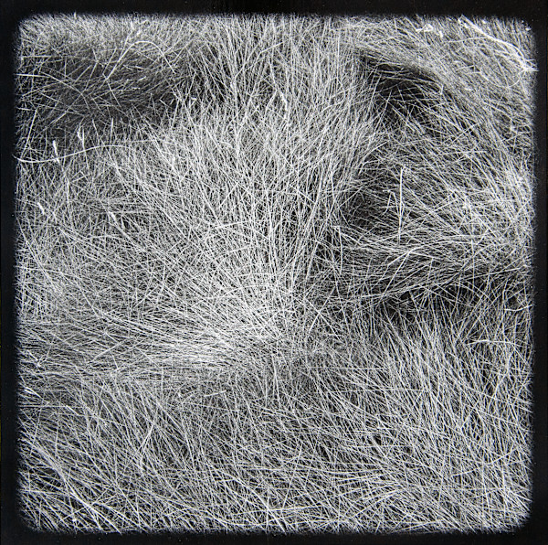 Marsh Hay Studies I - VIII, #7 #3 by Charles Marie Reilly