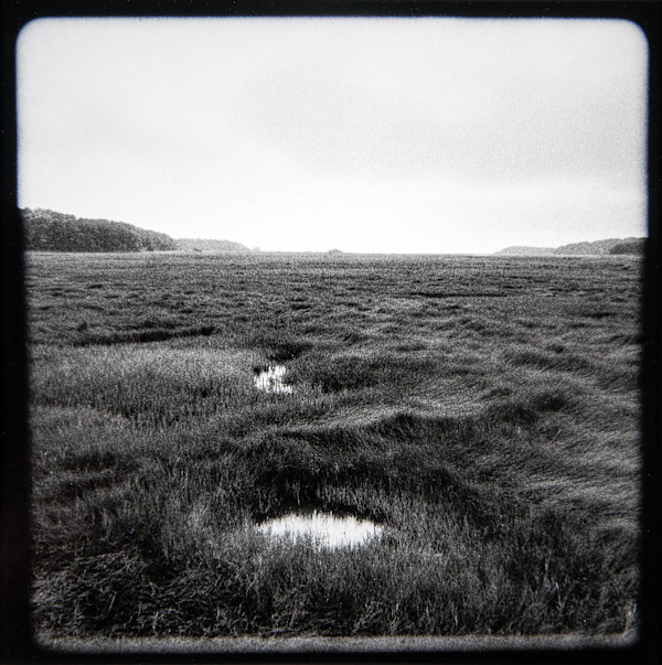 Wellfleet Bay Tidal Marsh Views I - VI, #1 #1 by Charles Marie Reilly