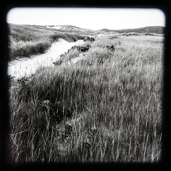 Wellfleet Bay Tidal Marsh Views I - VI, #5 unframed edition #2 by Charles Marie Reilly