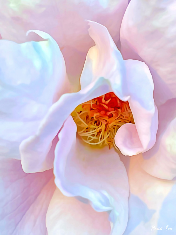 Unveiled (2025) 1/25 by Mariri Sun
