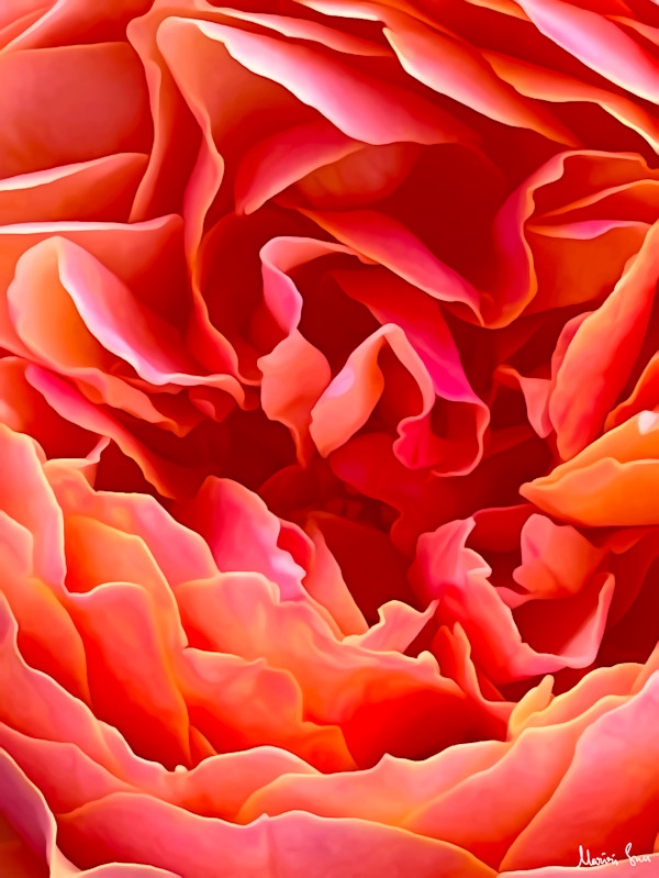 Velvet Flame (2025) 1/25 by Mariri Sun
