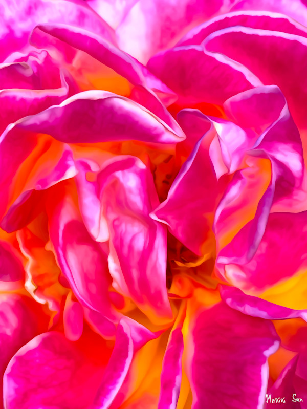 Between Petals (2025) 1/25 by Mariri Sun