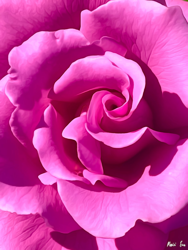Petals of Desire (2025) 1/25 by Mariri Sun