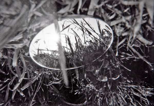In Grass, San Francisco #3 by Charles Marie Reilly