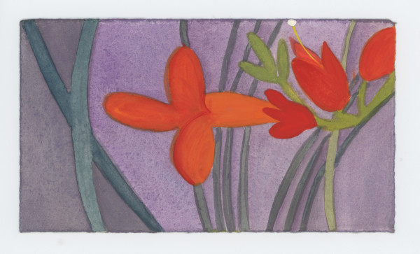 Trumpet Vine Blossoms, #1668