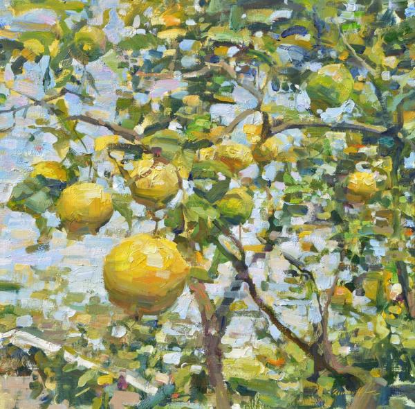 Lemon Tree by Quang Ho