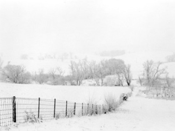 Landscape, winter Fog by Michael Johnson
