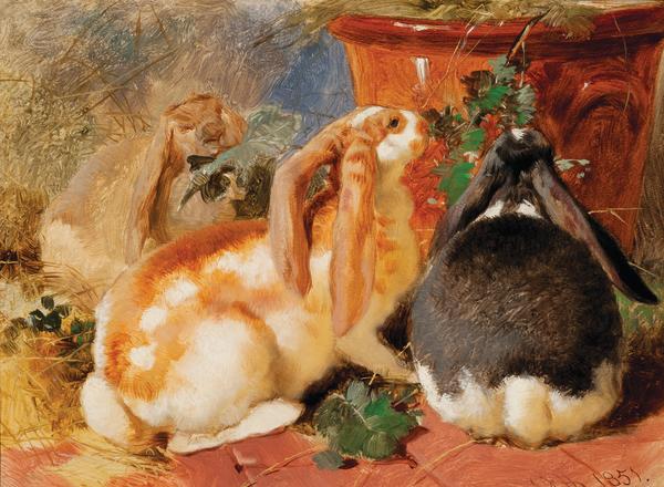 Lop-eared Rabbits by John Frederick Herring, Sr.