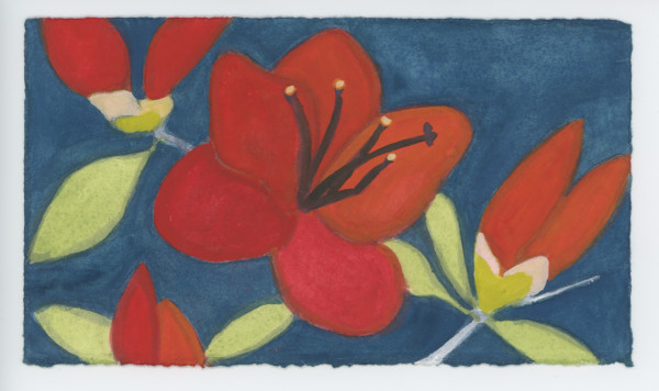 Azalea Blossoms at Night, #1602