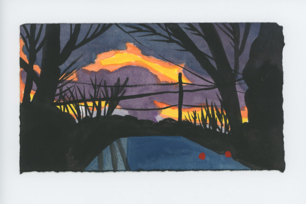 Wednesday on Harvard, #1823