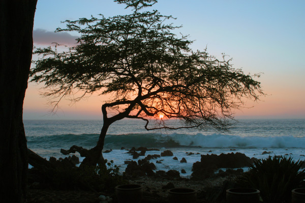 Mauna Kea Sunset by Patrick Reardon, MD