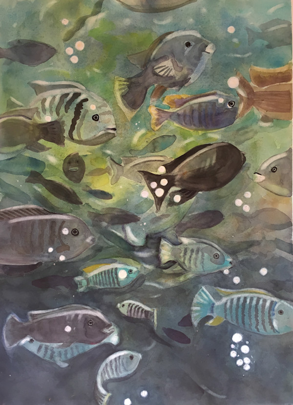 Aquarium Activity by Victoria M  Le  Vine