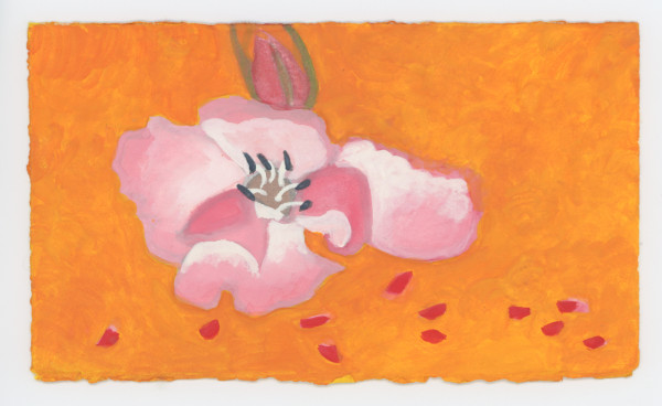 In the Evening, #1638