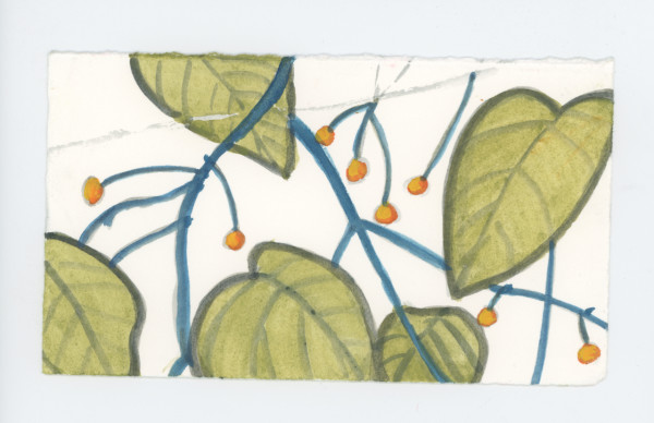 On Olmsted Island, #1731