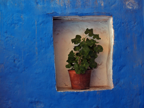 Pot on a Wall by Rosa Salinas