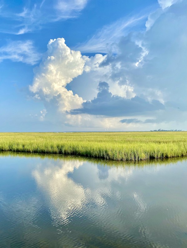 Clouds and Sea Grass by Gilchrist Jackson MD, FACS