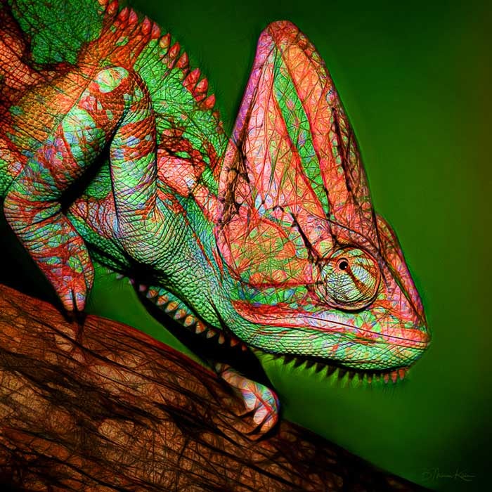 6th Place – Overall - Barbara Mierau-Klein - “Colorful Chameleon” –   from | Artwork Archive