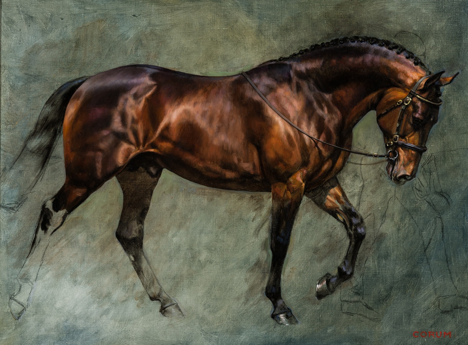 Study of a Bay Stallion from the collection of Cross Gate Gallery