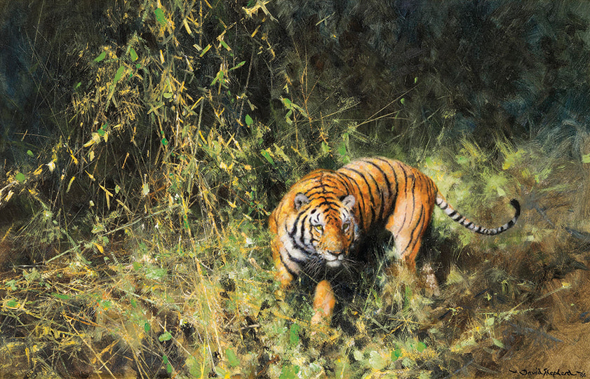Emerald Gaze Tiger-Artwork by @David Arts