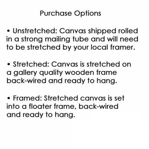Shipping Options