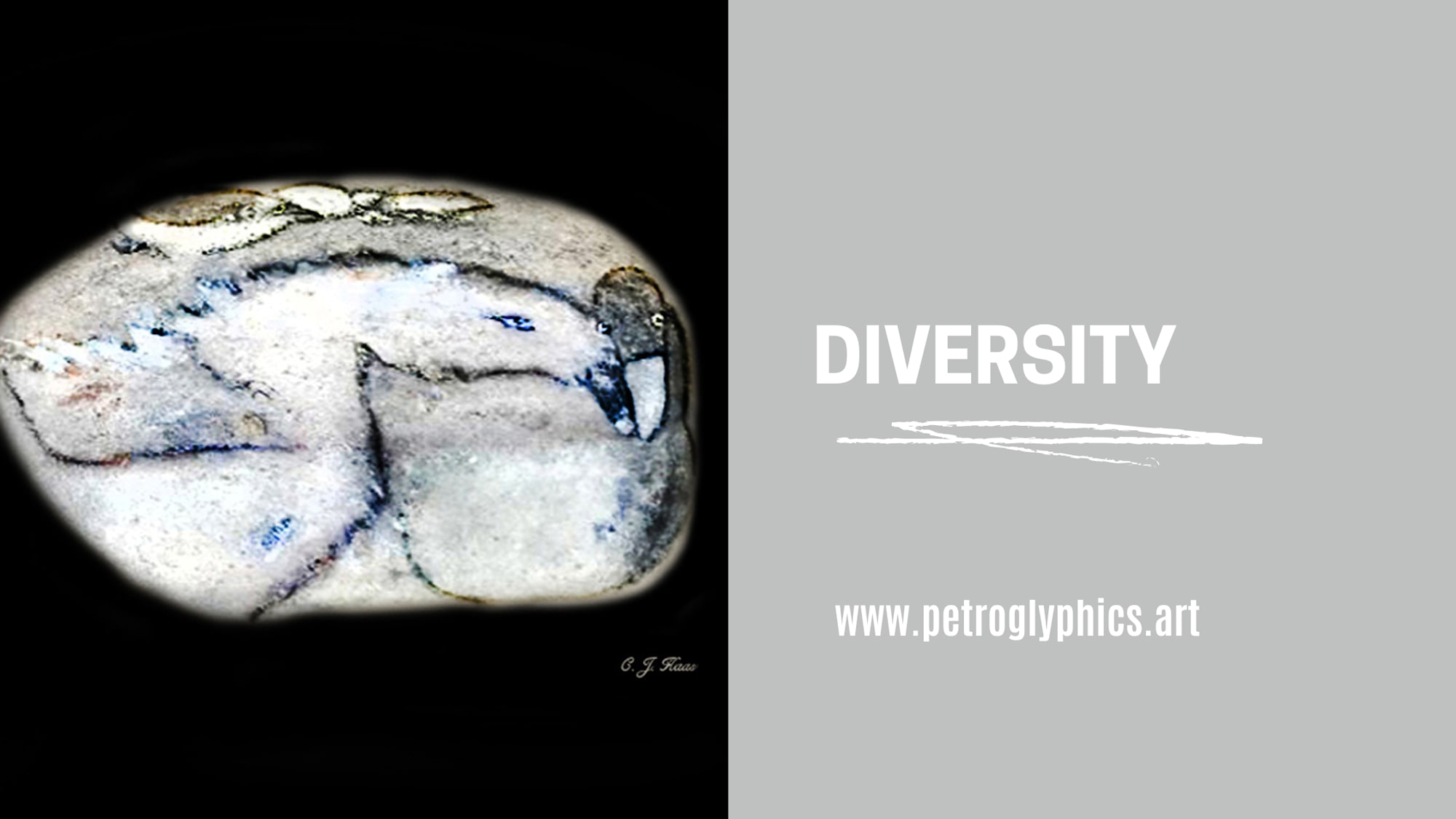 Diversity