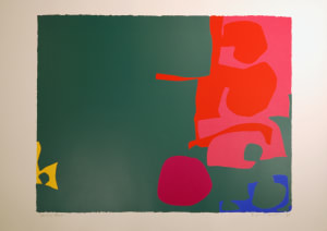 Interlocking Scarlet and Pink in Deep Green