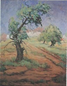 An Old Tree