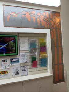 A Patchwork of Trees (Information Tree)