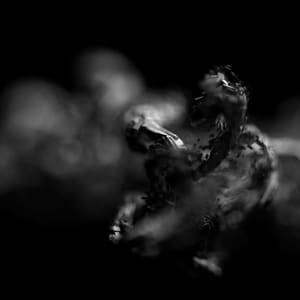Untitled (2011)