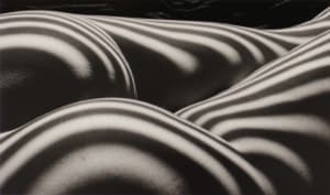 Zebra Nude, New York, 1997, from Nu Zèbre series