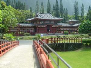 Take the Path to Peace