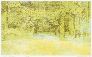 Edge of the Forest