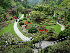 Pathway to Experience