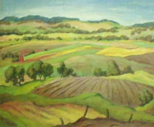 Fresh Plowed Field among Rolling Hills