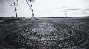 Plough Patterns and Power Poles, Human Island, California