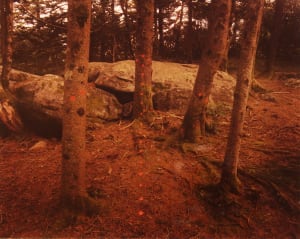 Red Arrow, Roan Mountain, North Carolina