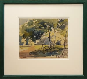 Trees and Shadows