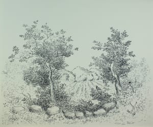 Trees & Field