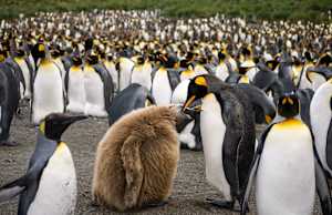 Feeding Time