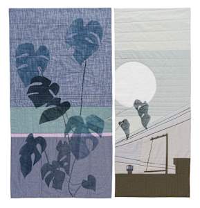 Window and Monstera 2